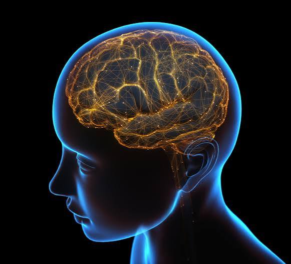 CEREBROLISINA: APROVADA EM VÁRIOS PAÍSES, MAS COM EVIDÊNCIA QUE A PRÓPRIA COCHRANE CLASSIFICA COMO 